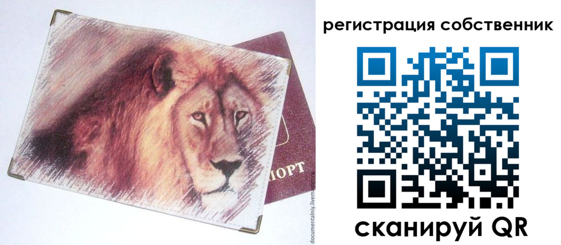 прописка гарантия в Севастополе